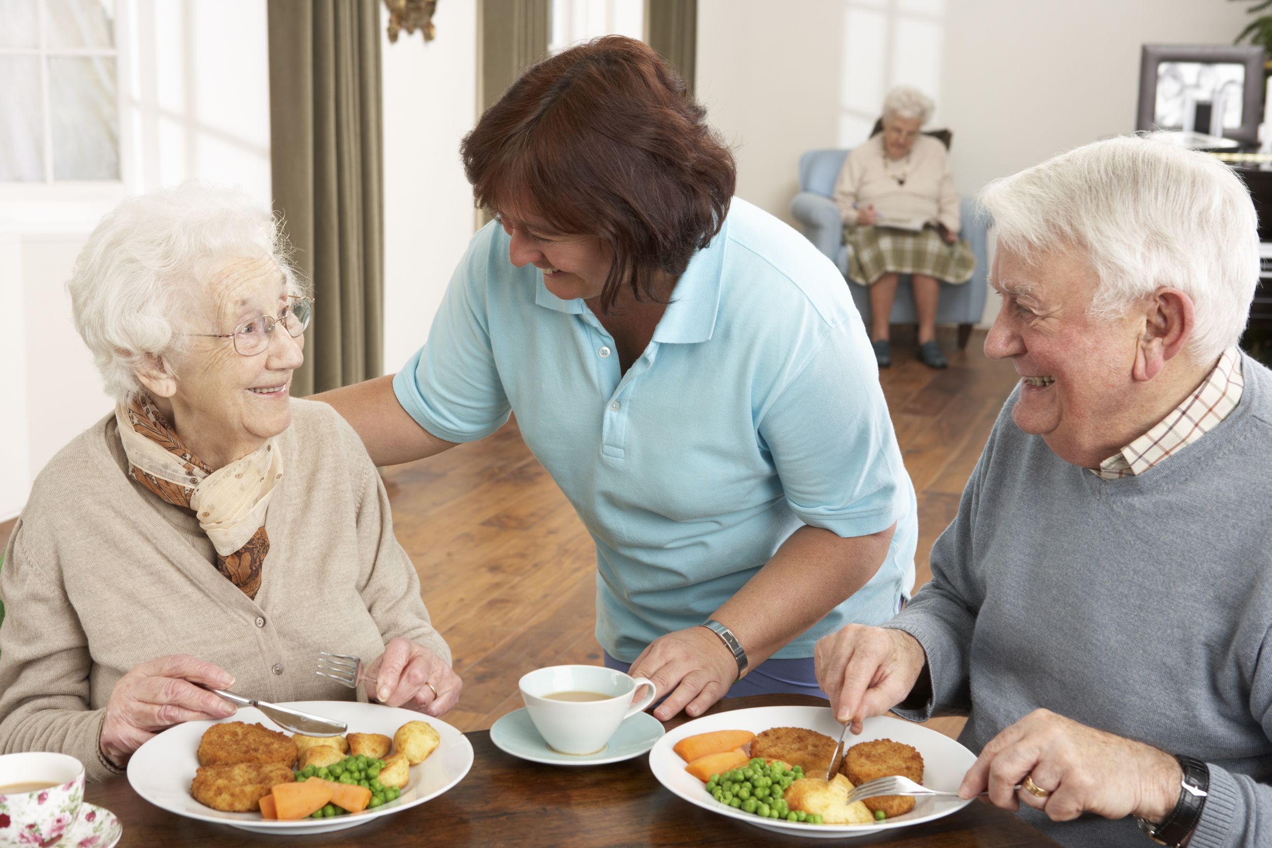 The Services You Need and Deserve From Home Care Agencies in Roslyn
